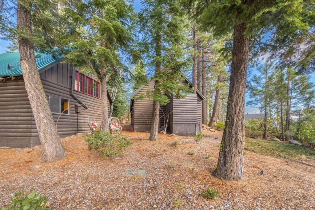 Coziest Cabin In Tahoe W Stone Fireplace Comfy Beds Close To Slopes & Lake Carnelian Bay المظهر الخارجي الصورة